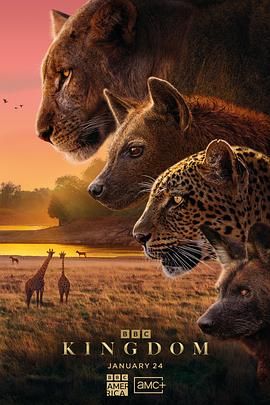 动物王国(普通话版)(全集)