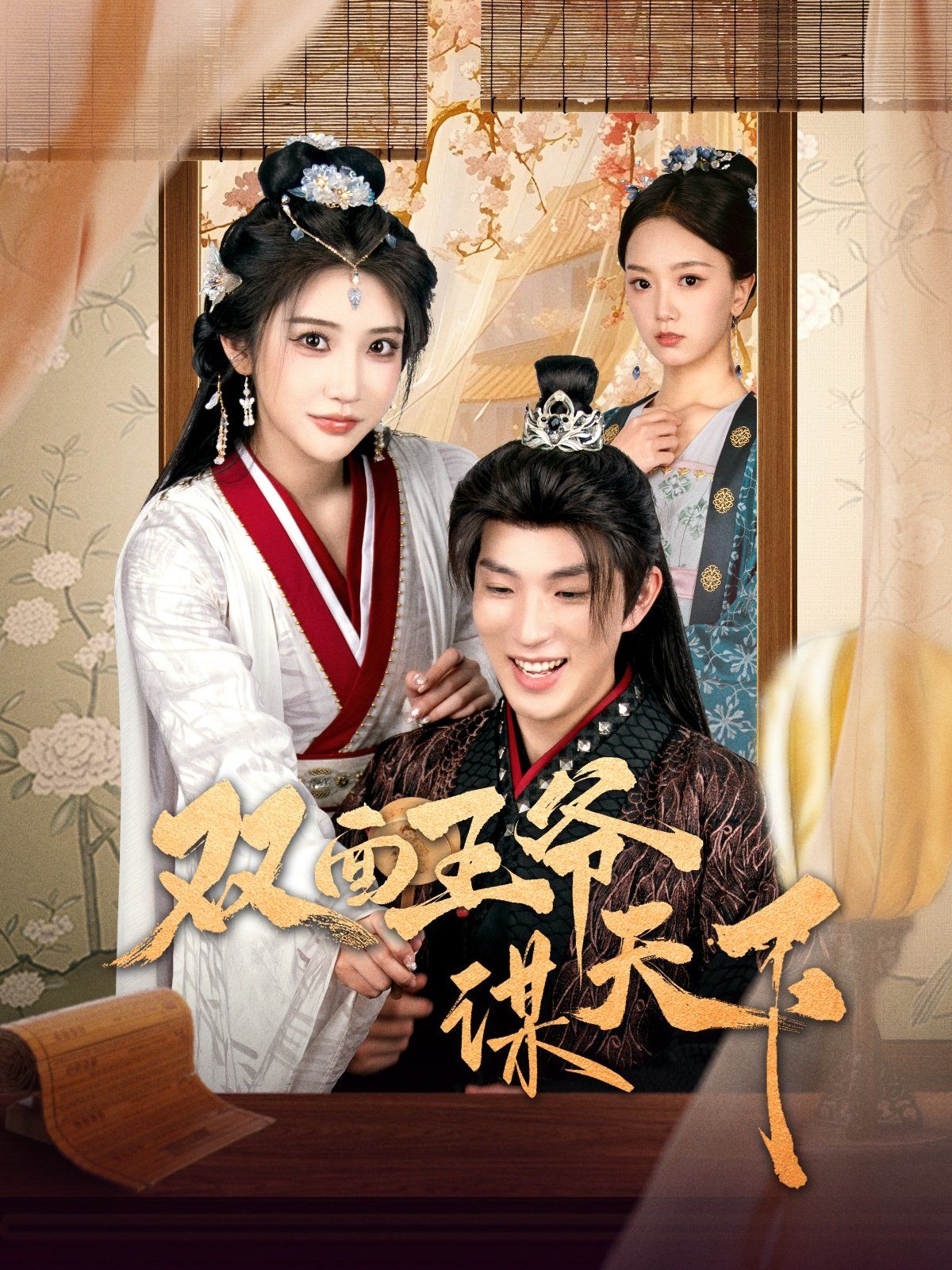双面王爷谋天下第1-30集
