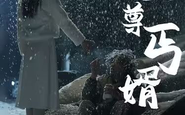 至尊丐婿第1-20集